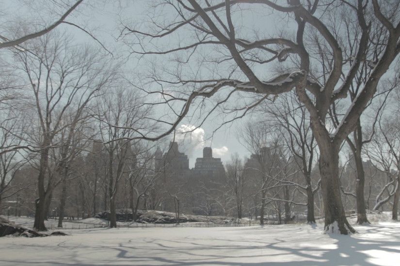 Central Park in Snow with New York City in Background