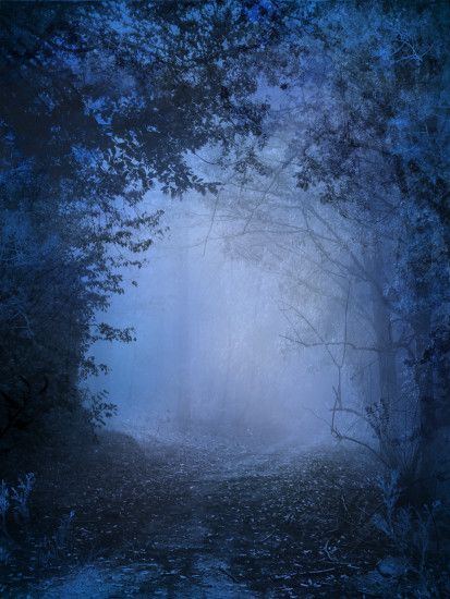 ... UNRESTRICTED - Mystery Woods Background 02 by frozenstocks