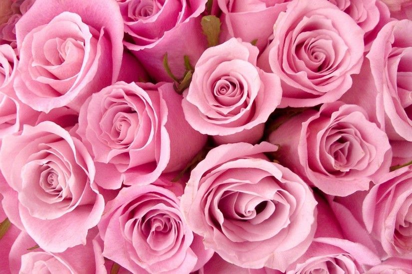 Flowers: Astonishing Pretty Pink Background HD Wallpapers, | Image .