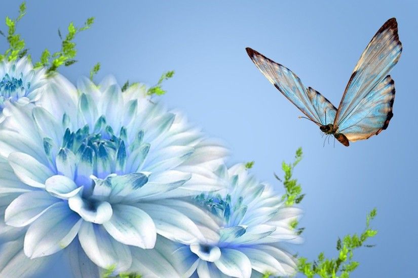 flying blue flower butterfly wallpaper