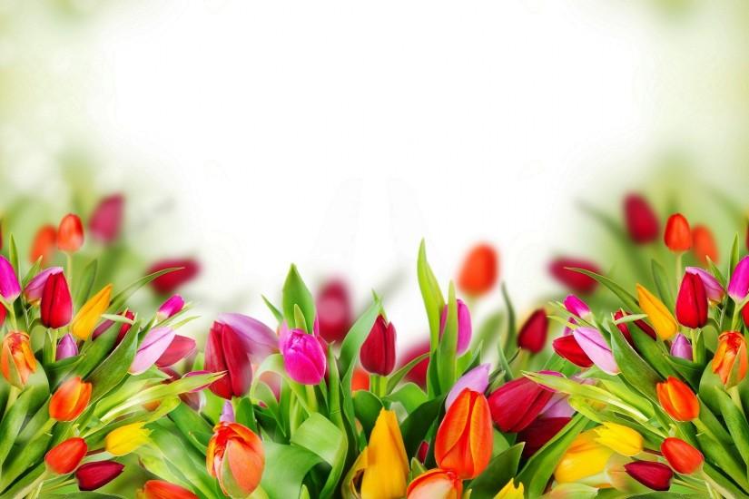 vertical flowers background 1920x1080