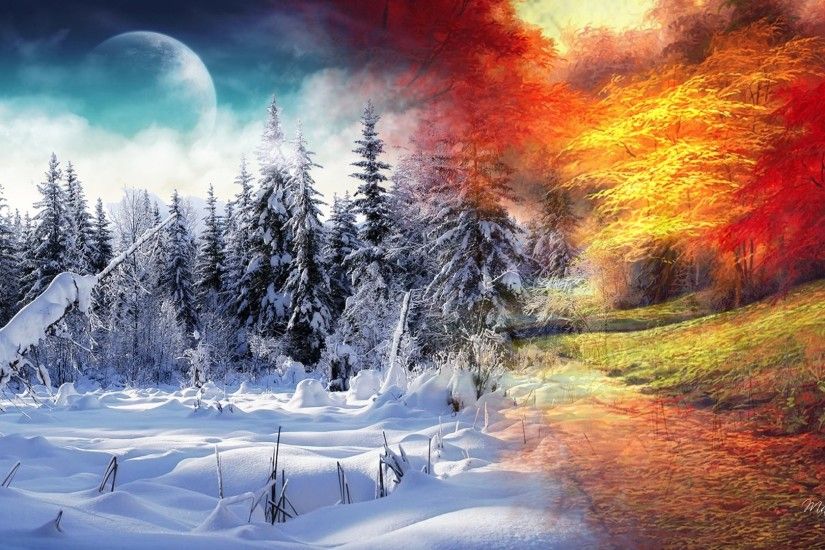 Fall Snow Forest Bright Winter Trees Collage Autumn Wallpaper Nature Hd  Download Free - 1920x1080