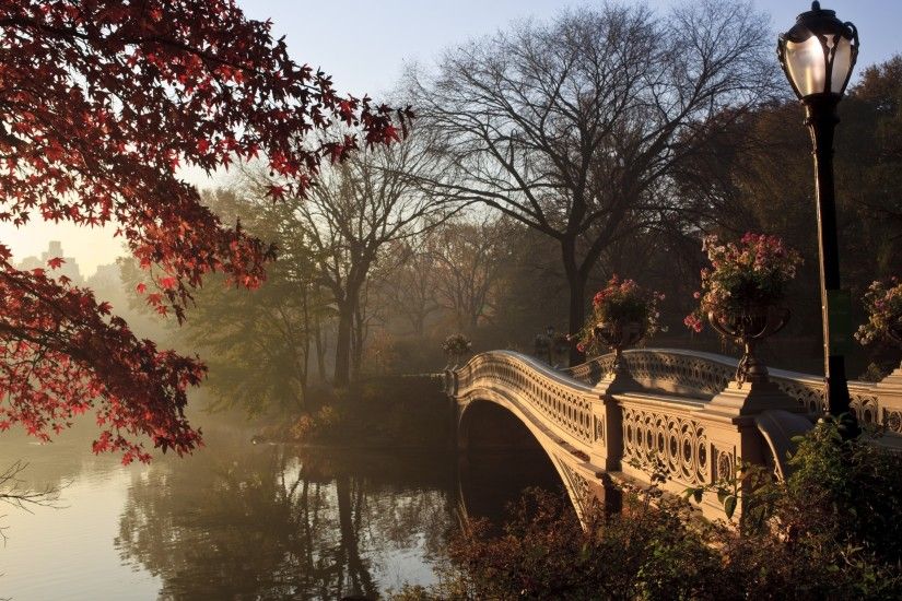 New York, Central Park, autumn, tree, bridge, lamp, pond,