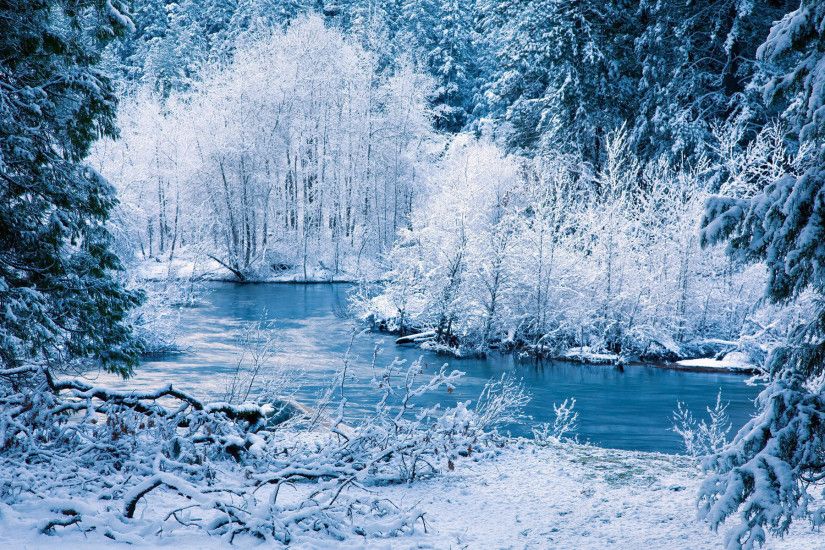 forest display, good smells, rivers, landscapes, trees,hd nature wallpapers,  shore, snow, frost, seasonal, winter, love,nature Wallpaper HD