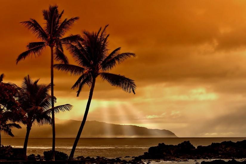 Beach Sunset With Palm Trees - Home Design Ideas | Interior Design .