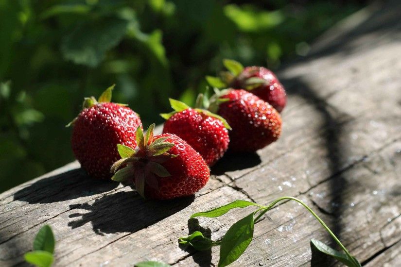 Fruits Log Wood Sunlight Strawberry Tasty Summer Berries Delicious Nature  Wallpapers HD Full Screen