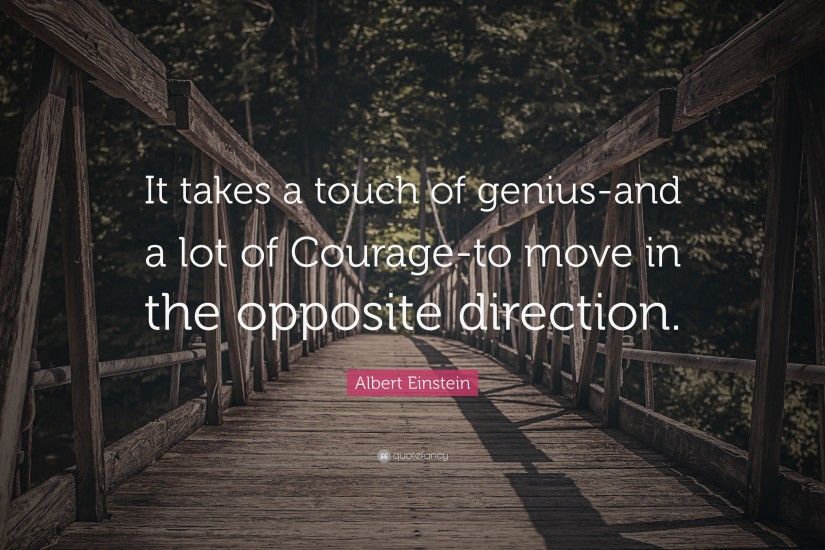 Albert Einstein Quote: “It takes a touch of genius-and a lot of