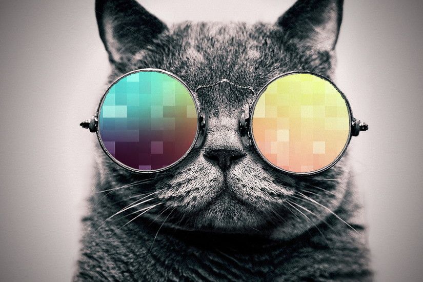 cool cat wallpaper. By ToValhalla Download 1920 X 1200