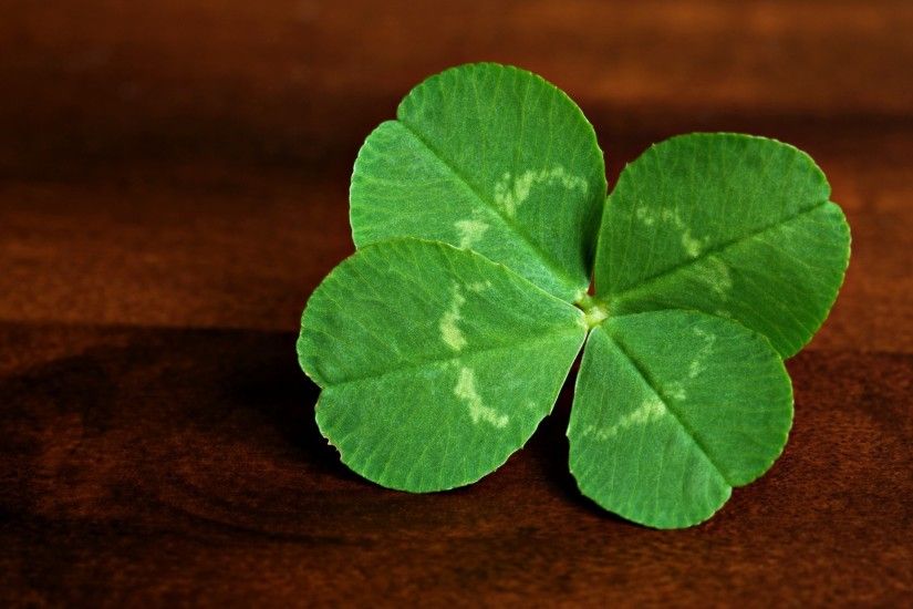 A four-leaf clover is easier to find than you think. You just need