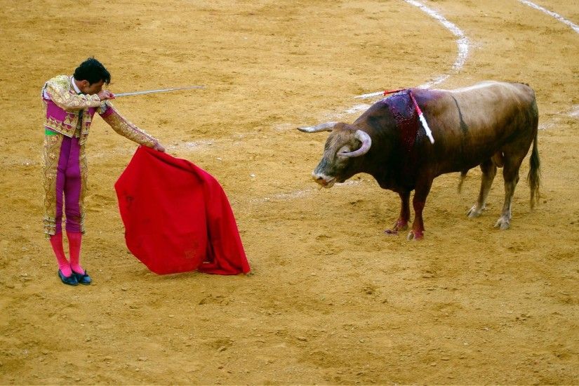 Bull Fighting Wallpapers Backgrounds