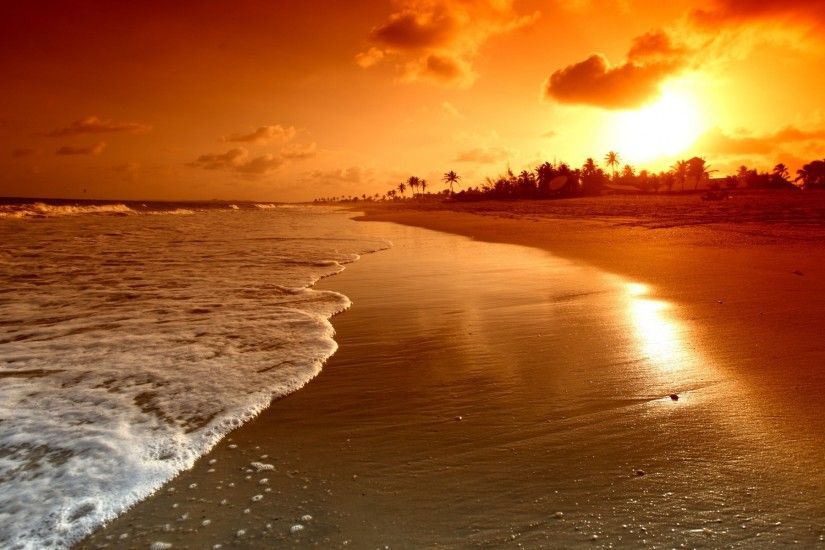 Beautiful Nature Beach Sunset
