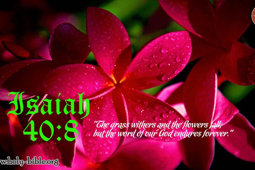 Bible Verse of the day – Isaiah 40:8
