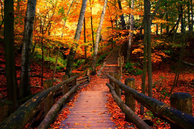 ... Bois Brule River Wisconsin Source Autumn In Wisconsin wallpaper  ForWallpaper com