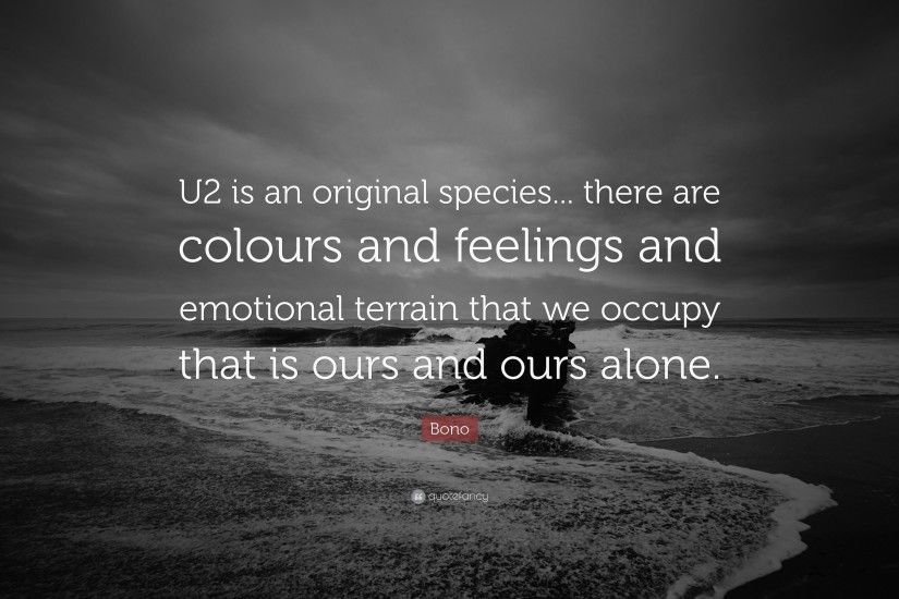 Bono Quote: “U2 is an original species... there are colours and