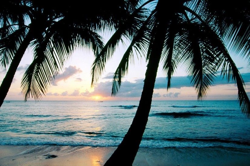 Ocean sunset palm trees Wallpapers | HD Desktop Wallpapers