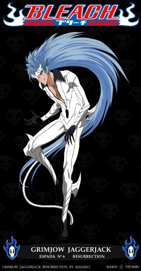 zerochan/Grimmjow Jeagerjaques/Grimmjow (Panther)/#1436846