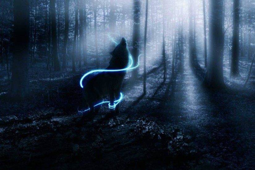Black Wolf Howling Images As Wallpaper HD
