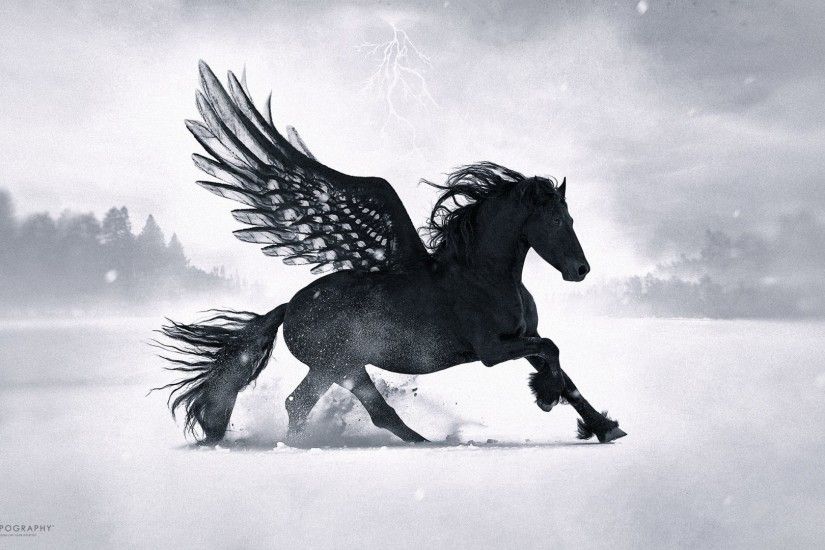 Black Pegasus [1920x1080]
