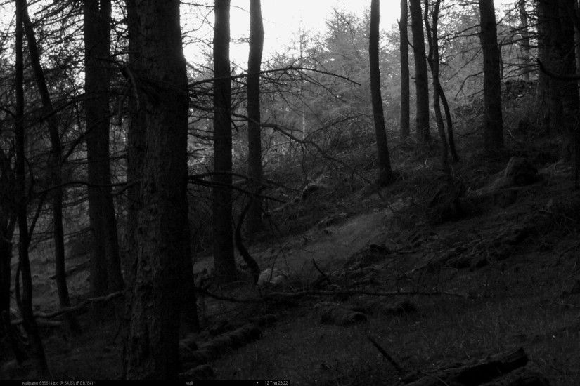 Black Forest by LoliPantsu Black Forest by LoliPantsu