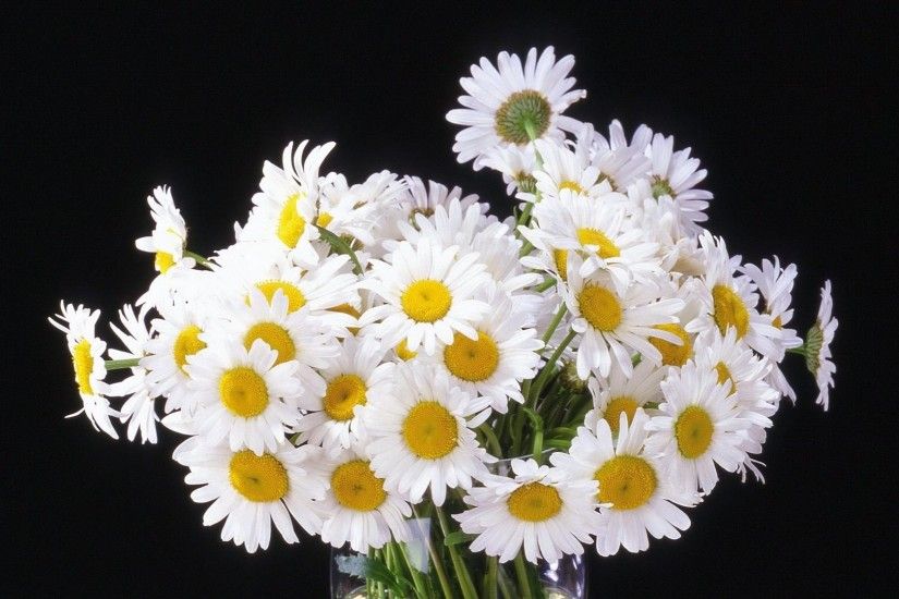 3840x2160 Wallpaper daisy, flowers, bouquet, vase, black background