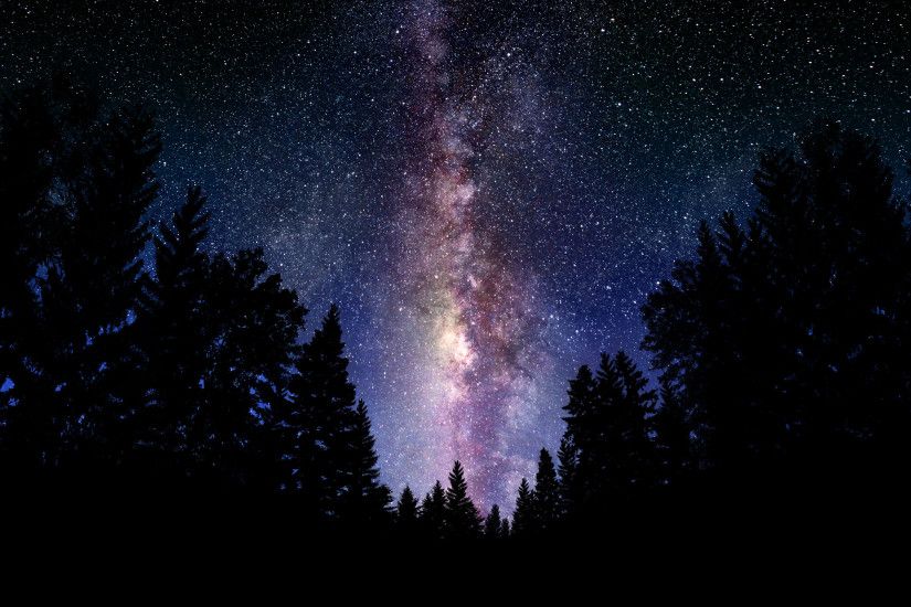 wallpaper Starry Night sky over the forest. Wallpapers 3d for desktop .
