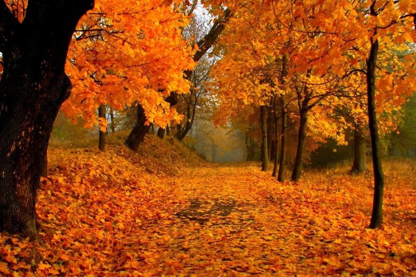 Fall-Scenery-Photos