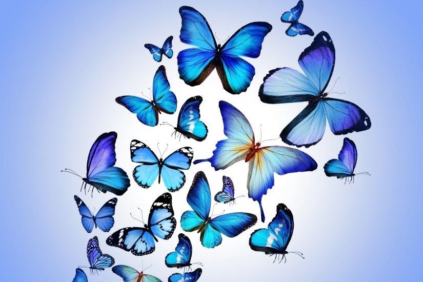 Download Free High Quality Butterfly Wallpaper The Quotes Land 1920Ã1200  Butterfly Picture | Adorable Wallpapers | Desktop | Pinterest | Butterfly  wallpaper ...