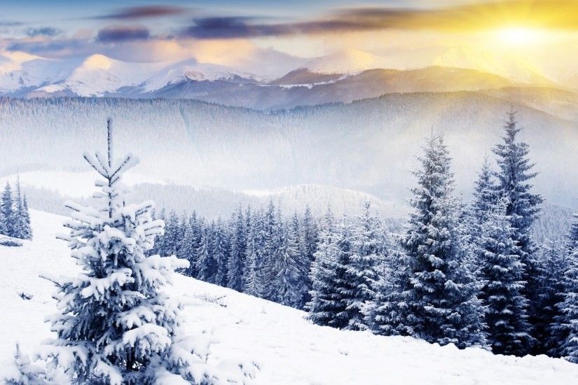 Beautiful Winter Scenes for Desktop Wallpapers