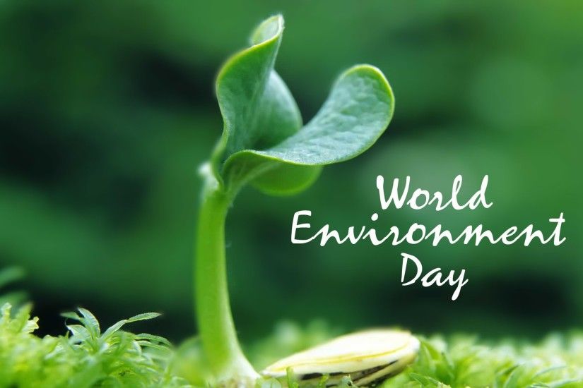 world environment day wallpaper