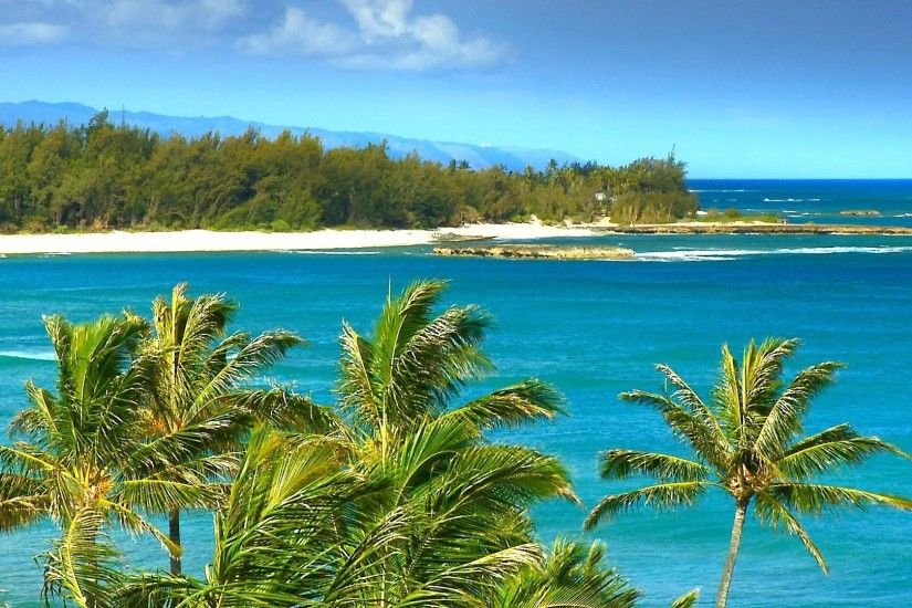 1920x1080 windy beach in hawaii | Desktop Backgrounds for Free HD Wallpaper  .