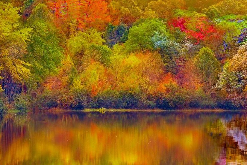 Earth - Fall Nature Colorful Reflection Forest Lake Wallpaper