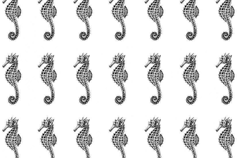 Seahorse Wallpaper Background
