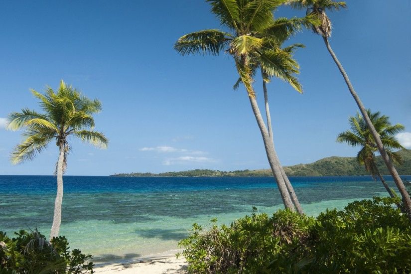 Beautiful tropical beach background with waving palm trees against a clear blue  ocean