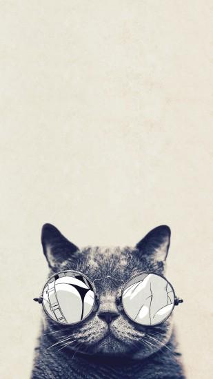 <b>Mobile Phone</b> 240x320 <b>Grumpy cat Wallpapers