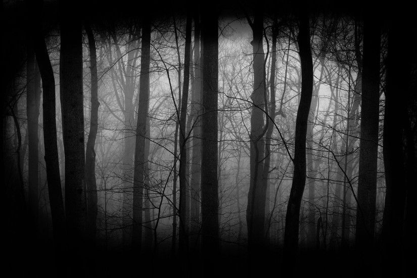 Background+Dark+Creepy+Forest | dark forest background 344 dark forest  wallpaper