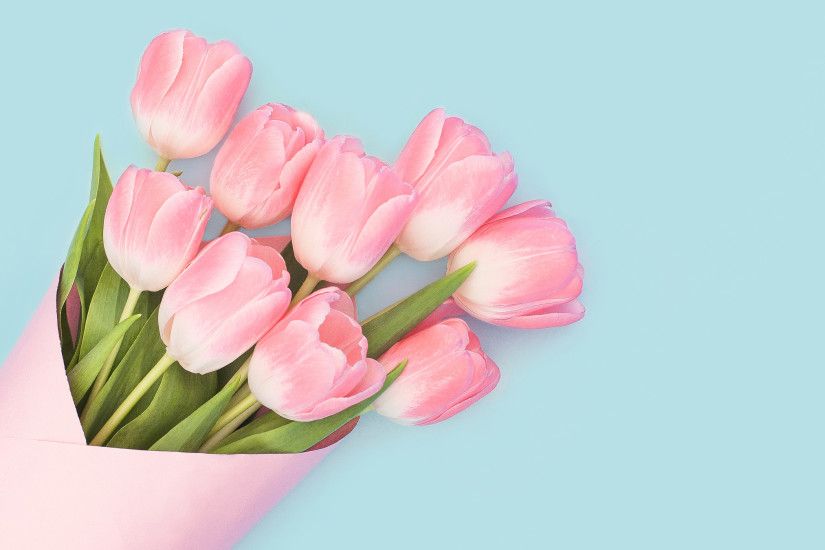 Baby Pink Tulips