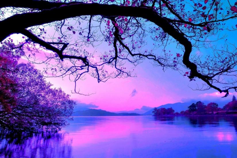 lavender Mountains Nature purple reflection sky Tree Violet wallpaper .