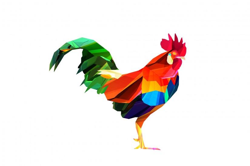 356 ⁄ 365 • Cock