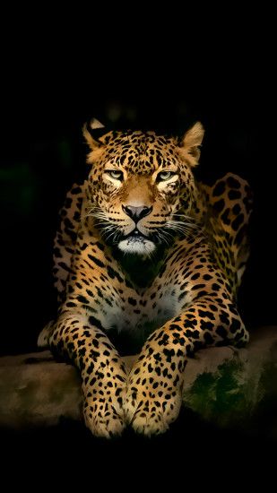 Serious Leopard 3D Spots Illustration Wild Animal Android Wallpaper
