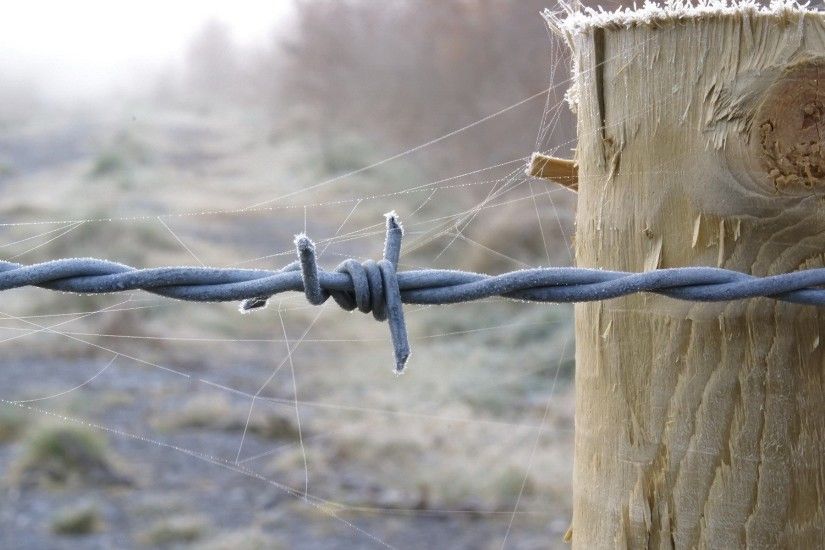 Man Made - Barb Wire Wallpaper