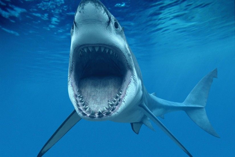 Shark Fish Great Whiteteeth Underwater Blue Ocean Cg Photo Background
