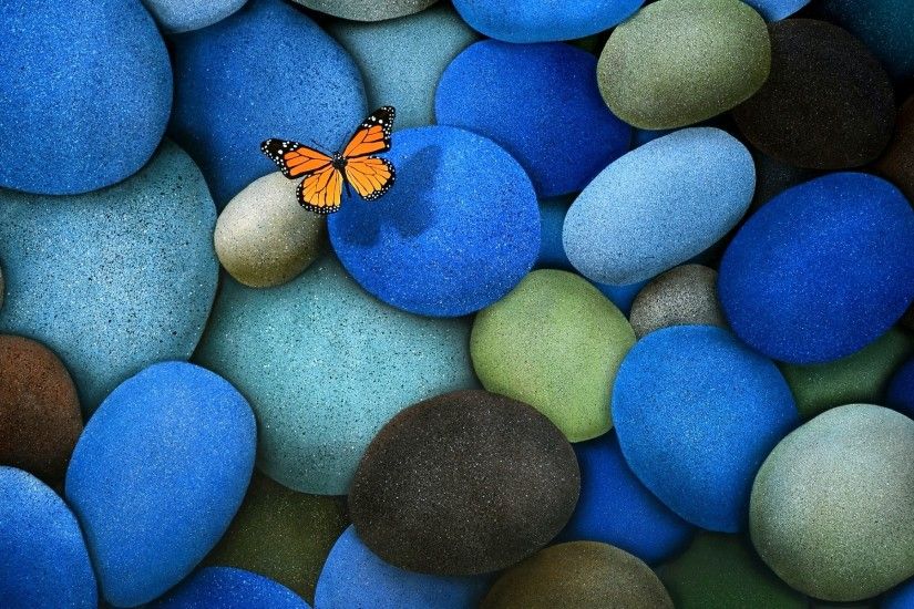 Insects easter egg color desktop zen balance pebbles butterfly HD wallpaper.  Android wallpapers for free.