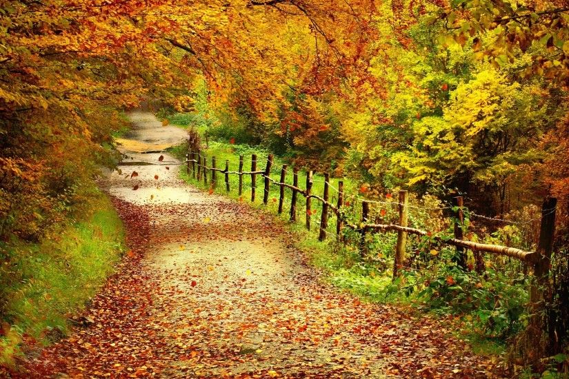 autumn scenes - Desktop Wallpaper
