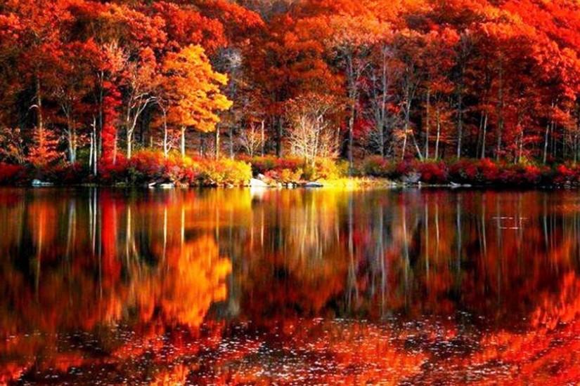 fall foliage river autumn red lake reflections shore beautiful .