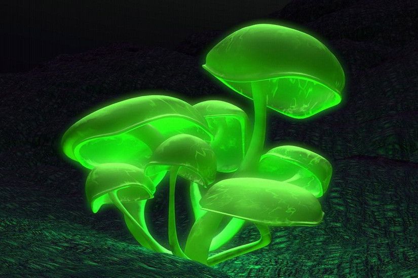 Neon Mushroom Wallpaper Images & Pictures - Becuo