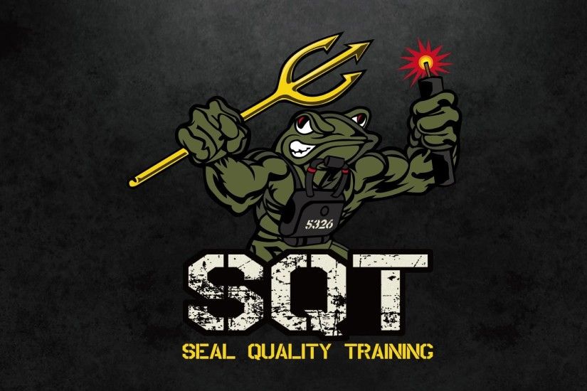 1920x1080 Silent Professional Tactical "SEAL Quality Training" Official  video
