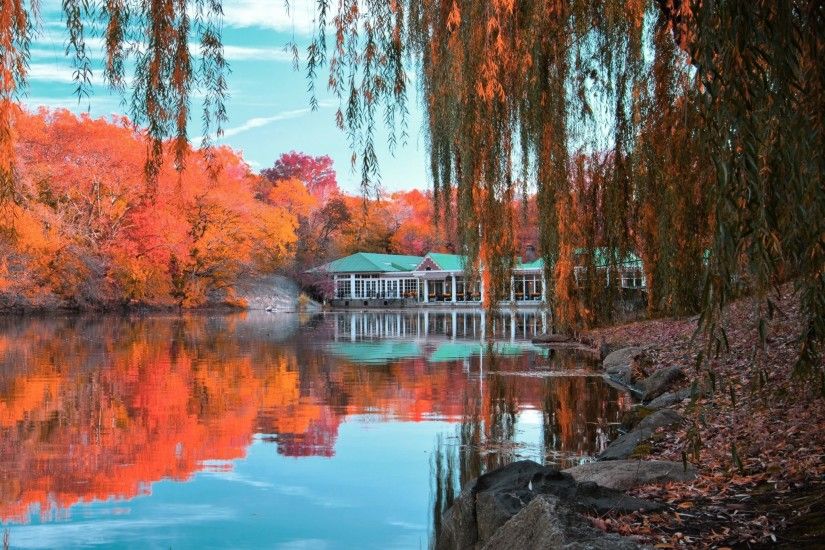 2048x2048 Wallpaper central park, new york, autumn, beautiful landscape