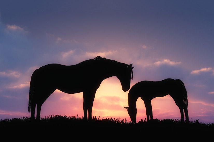 Horse Sunset Wallpaper Desktop Background