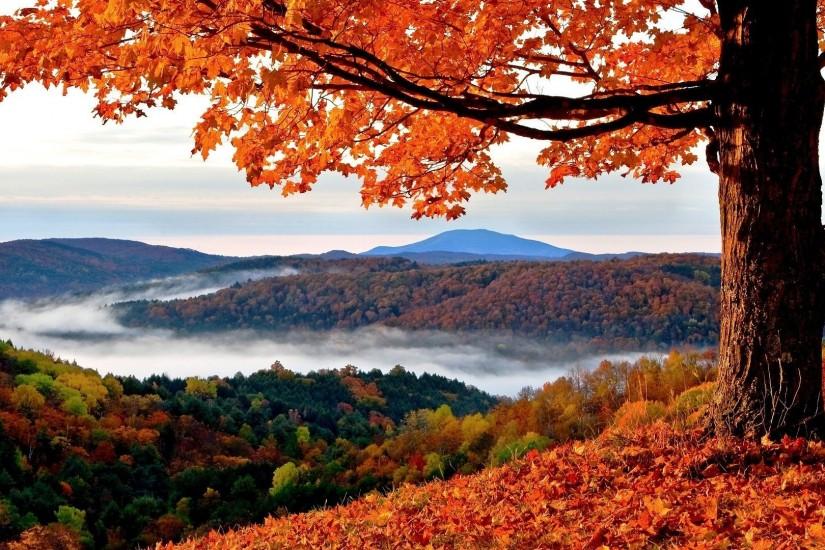 17 Best images about Autumn on Pinterest | Nature, Rain and Autumn ... wallpaper  autumn; 64 autumn wallpaper hd Pictures ...