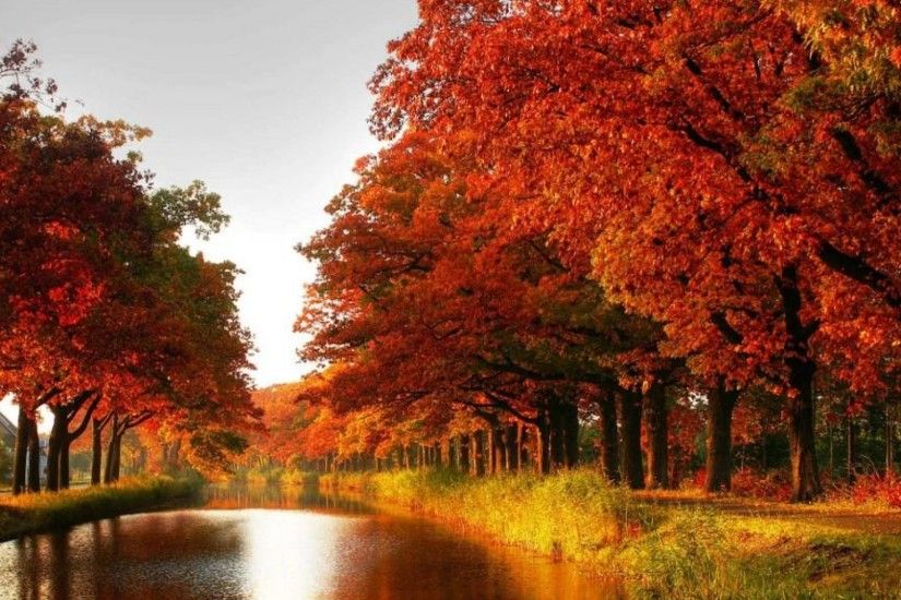 Maple trees autumn red leaves canal river forest [1920x1080] Need #iPhone  #6S #Plus #Wallpaper/ #Background for #IPhone6SPlus? Follow iPhone 6S Plu…